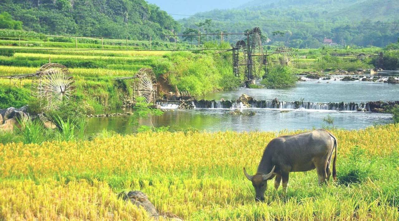 Отель Pu Luong Boutique Garden Экстерьер фото
